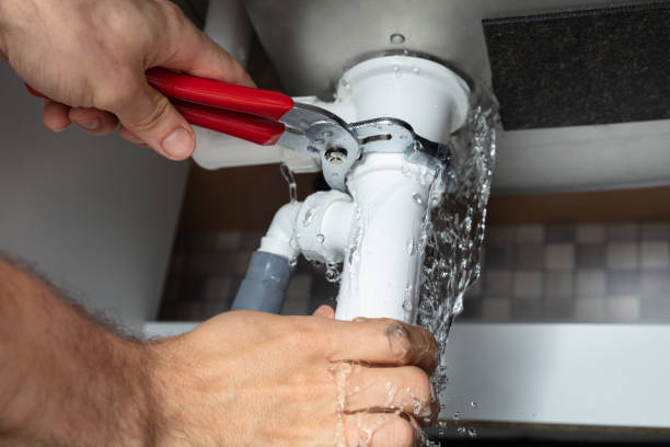 Best Water damage cleanup near me  in Glen Ellyn, IL
