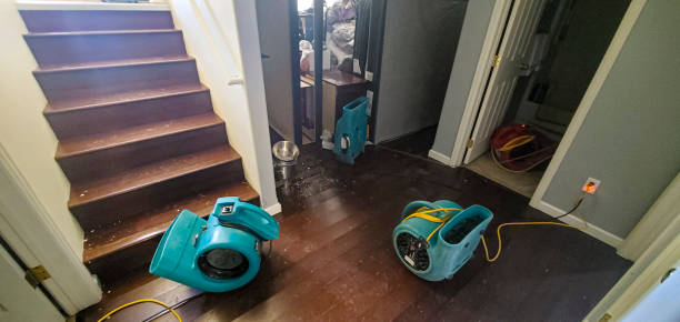 Best 24/7 water damage repair  in Glen Ellyn, IL