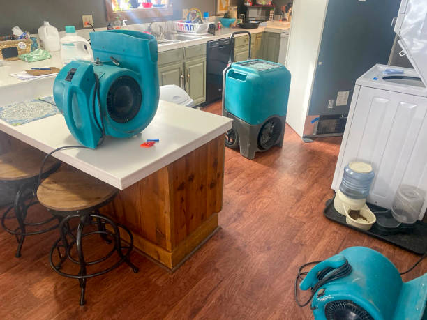 Best Carpet water damage restoration  in Glen Ellyn, IL