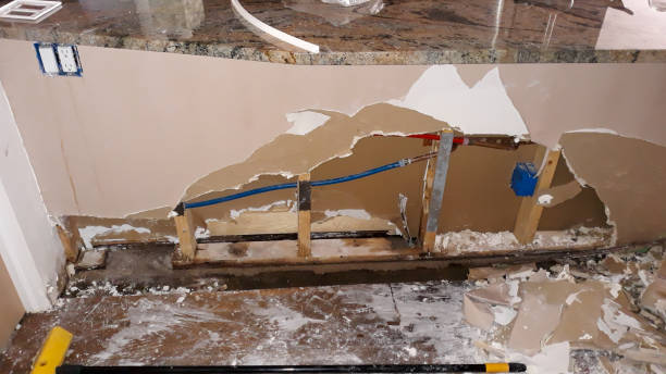 Best Flood damage cleanup  in Glen Ellyn, IL