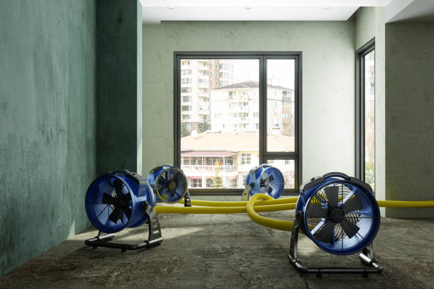 24/7 water damage repair in Glen Ellyn, IL