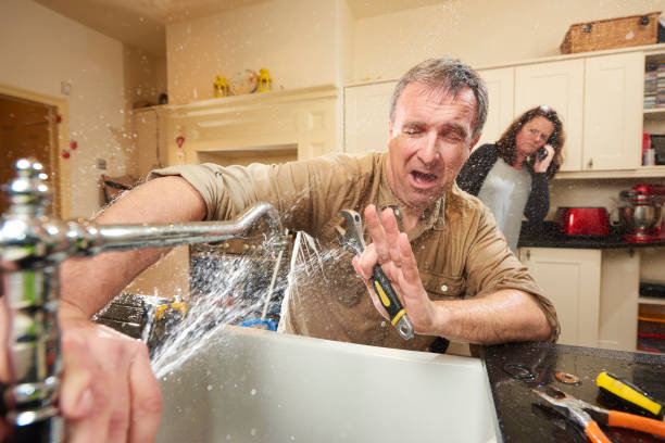 Best Flood restoration services  in Glen Ellyn, IL